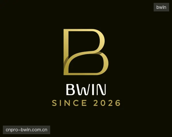 解读bwin团队